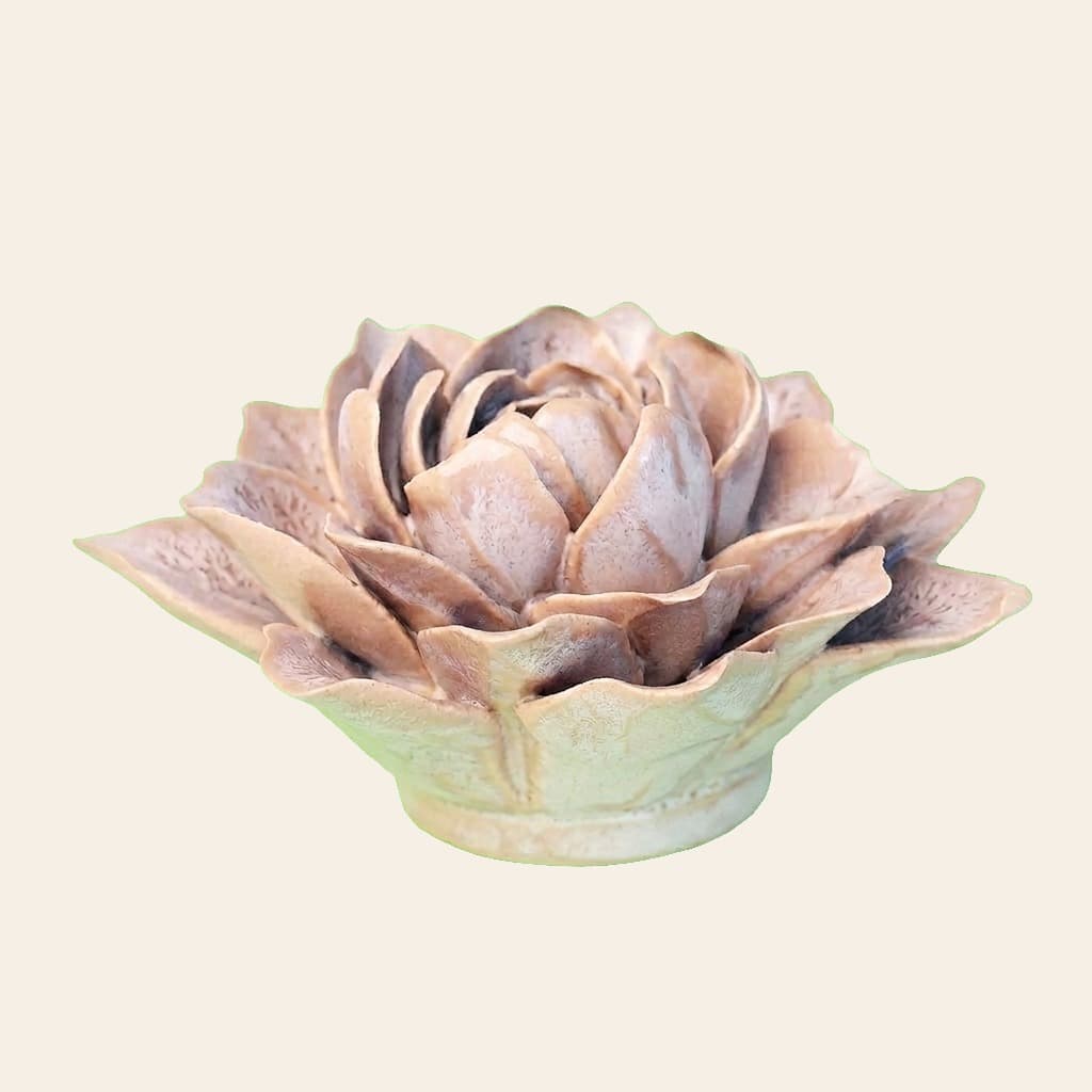 Water Lily - side view